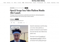 <b>Sora的快速退</b>